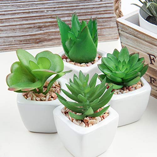 Hollyone Succulents Plants Artificial 4Pcs Small Fake Succulents in Pots Faux Plastic Potted Plants with White Ceramic Pot for Home Decor Office Desk Bathroom Shelf Indoor & Outdoor Decoration - color: 4pack - White Ceramic