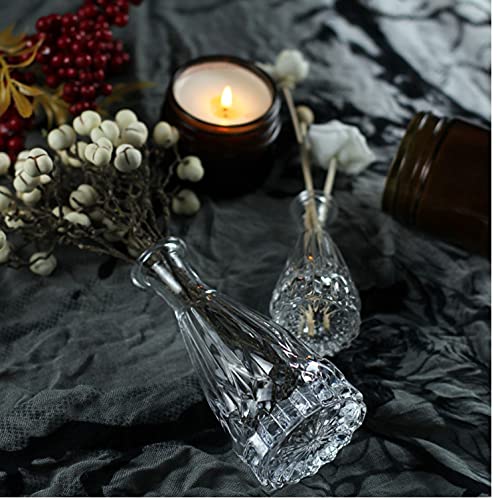 Set of 3 Mini Clear Glass Vase,Small Flower Bud Vase Hydroponics Planter Decorative for Flower,Table,Party,Home,Centerpieces(Clear 5) - color: Clear 5