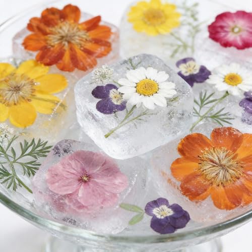 48 Pcs Mix Natural Dried Pressed Flowers for Crafts & Cake Decorating, Real Dry Flower for Cocktails, Resin Jewelry Making, DIY Art Crafts (Muticolor) - color: Muticolor
