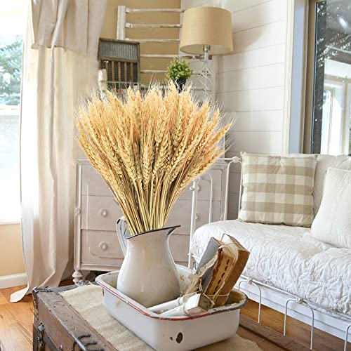 Uieke 17.7 Inches Dried Wheat Stalks, 300 Stems Dried Flowers 100% Natural Wheat for Home Kitchen Wedding Party Table Centerpiece Harvest Wreath Boho Farmhouse DIY Fall Decor - color: 300 Pcs