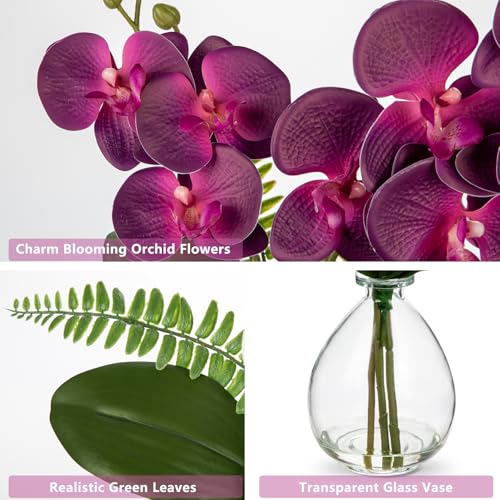Oairse Purple Orchids Artificial Flowers, Faux Orchid in Glass Vase Real Touch Small Phalaenopsis Orchid Flowers Arrangements with Clear Vase Orchids Centerpiece for Dining Room Table - color: Purple & Clear