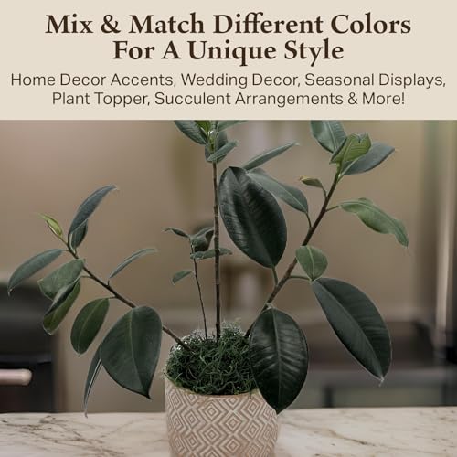 Preserved Spanish Moss - Decorative Dried Moss for Crafts, Home Decor, Art, Design & DIY Projects - for Indoor Use - Forest Green - Standard Box - Covers 10-12 sq. ft. - color: Forest Green, size: Large