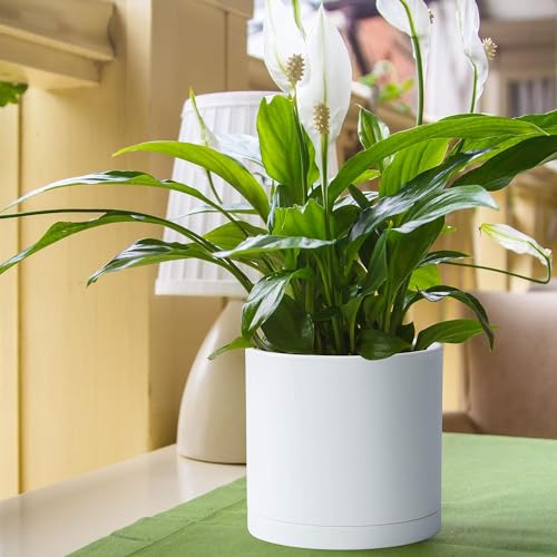 D'vine Dev 2 Pack 8 Inch Modern Plastic Plant Pots, Cylindrical Garden Planters for Plants with Drainage Holes and Saucers, White, 74-Z-M-1 - size: 8"