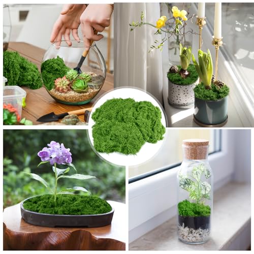 Draupnir Fake Green Moss for Plants Indoor, 5.3OZ Fake Moss for Crafts Preserved for DIY Decorative mossTable Centerpieces Decor Fairy Garden Floral Wedding (150g) - color: Light Green