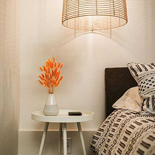 Uieke 17’’ Natural Bunny Tails Dried Flowers, 240 Pcs Dried Lagurus Ovatus, Dried Pampas Grass for Flower Arrangements Wedding Centerpieces Home Boho Baby Shower Party Fall Decorations (Orange) - color: Orange-240pcs