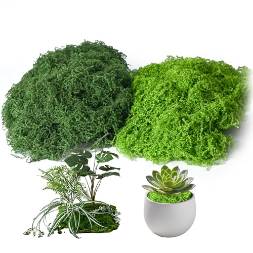 Fake Moss for Plants Indoor, 3.5OZ Dual-Color Artificial Moss for Crafts, Realistic Faux Moss for Terrariums, Fairy Gardens, Potted Plants, DIY Home Decor, Glass Jars, Light & Dark Green（100g） - size: 100
