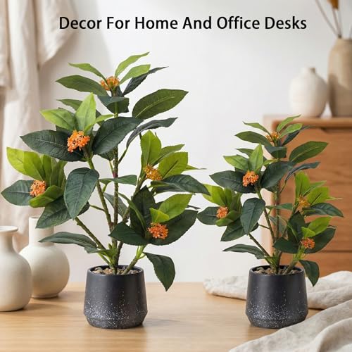 Gresorth 2 Pack Artificial Fake Green Potted Table Small Plants Decoration Simulation Osmanthus Tree Ornament Bonsai Display for Desk Decor Indoor Wedding Windows - color: B - 2 Sizes