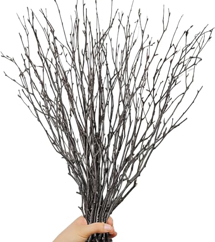 30Pcs Real Dried Birch Twigs - 16” Decorative 100% Natural Birch Branches for Easter Vases, Curly Willow Branches, DIY, Floral Arrangement, Twig Wreath, Centerpiece, Rustic Home Decor - size: 30