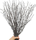 30Pcs Real Dried Birch Twigs - 16” Decorative 100% Natural Birch Branches for Easter Vases, Curly Willow Branches, DIY, Floral Arrangement, Twig Wreath, Centerpiece, Rustic Home Decor - size: 30