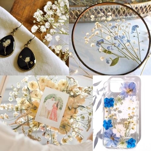 90Pcs Mini Dried Pressed Baby's Breath Flowers Bulk - Natural Flat Real White Gypsophila Baby Breath, Pressed Flowers for Resin, Frame Art, Scrapbooking, Wedding Invitation