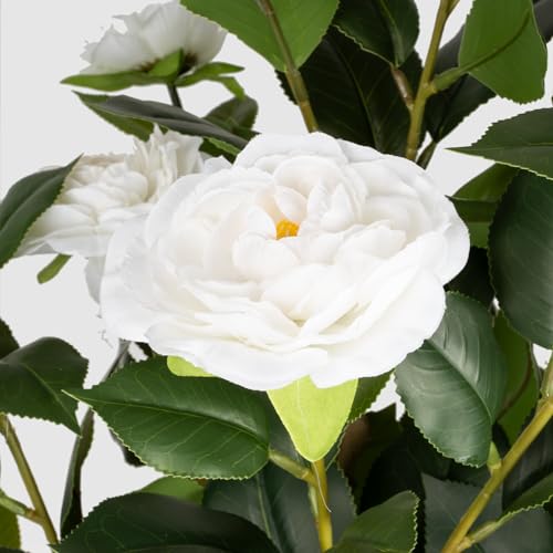 Romantic Season 2Pack Artificial Camellia Tree 3FT, White Faux Camellia Plant Fake Potted Camellia Flower Tree Plastic Camellia Tree for Modern Home Office Living Room Floor Décor Indoor - color: White, size: 3FT