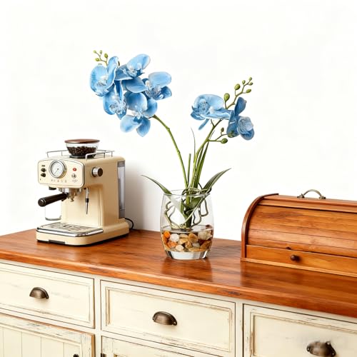 Jusdreen Artificial Blue Orchid in Glass Vase, Realistic Phalaenopsis Arrangement with Potting for Home Office Table Decor, 14.5 Inch Flower Centerpiece - color: Glass-blue