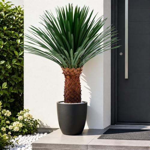 4FT Artificial Agave Plant in Black Pot, 48 Inch Tall Faux Agave Succulent with Realistic Foliage, Fake Floor Plant for Indoor Outdoor Front Porch Patio Home Office Hotel Desert Style Decor - color: Agave Plant 48in