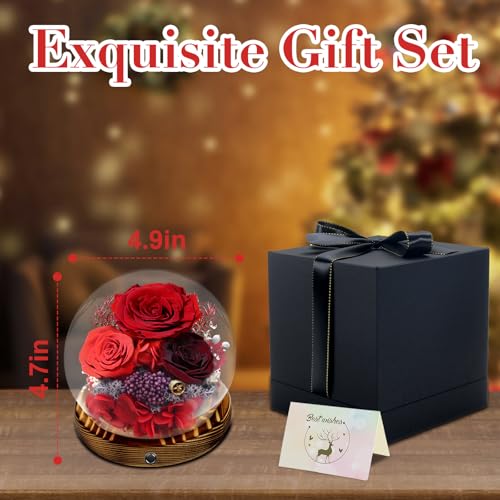 Preserved Flower Red Rose in Glass, Eternal Roses Gifts for Women, Mom, Girlfriend, Wife, Her on Christmas, Valentine's Day, Mother's Day, Birthday, Anniversary