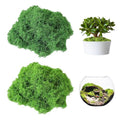Fake Moss for Plants Indoor, 7OZ Value Pack - Artificial Grass for Crafts, Floral Arrangements & Potted Plants, Natural Moss Alternative for Terrariums (Dark Green+Light Green)
