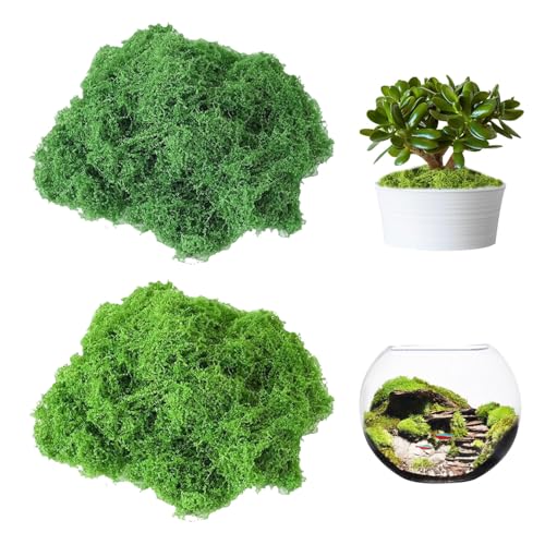 Fake Moss for Plants Indoor, 7OZ Value Pack - Artificial Grass for Crafts, Floral Arrangements & Potted Plants, Natural Moss Alternative for Terrariums (Dark Green+Light Green)