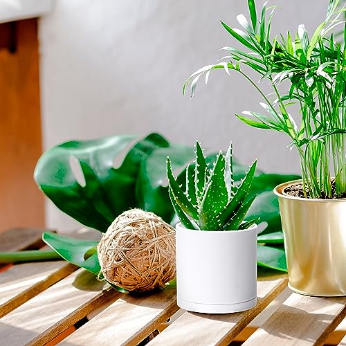 D'vine Dev 2 Pack 4.5 Inch Modern Plastic Plant Pots, Small Garden Planters for Plant with Drainage Holes and Saucers, White Color, 74-Z-F-1 - size: 4.5"