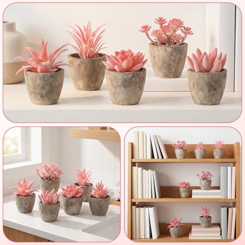 Woration 6Pcs Small Artificial Pink Succulent Set Fake Flocking Succulents Plants Potted Floral Arrangement for Shelf Office Home Desk Decorations - color: 6 Pack 6 Style Pink