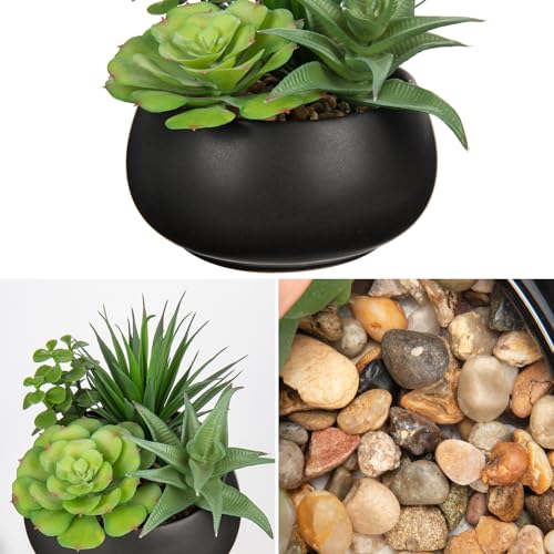 Fake Plants Artificial Succulents in Pots Faux Succulent Arrangement Potted Plant with Black Ceramic Pot for Home Decor Modern Office Desk Bathroom Shelf Living Room Indoor & Outdoor Decoration - color: Matte Black