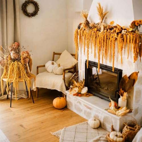 Suncalla 12 Pcs Orange Spring Natural Dried Amaranthus Hanging Flowers Amaranthus Artificial Flowers for Wedding Arch Bouquet Floral Garland Wall Home Decoration (23 Inch) - color: Orange