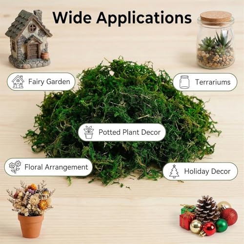 Artificial Moss, Fake Green Moss for Fairy Garden, Crafts, DIY Terrariums, Floral Arrangements, Waterproof Colorfast Moss Decor for Indoor Plants, Reusable (Green 1.76 Oz) - color: Green 1.76 Oz