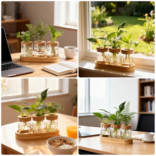 3Pcs Propagation Stations, Plant Terrarium with Lid and Wooden Stand,Desktop Glass Planter Hydroponics Vase,Home Office Living Room Decor Gifts - size: 8.7"L x 3.5"W x 4.7"H