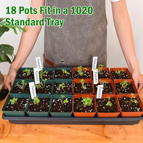 June Fox 100 Pack Green Red Square Nursery Pots with Drainage Holes 3.3 Inches Flexible Plastic Seedling Pots Square Pots for Plants, Succulent, Flower, with Plant Labels - color: Green and Red