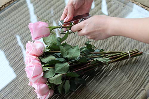 Rose Cleaner Rose Stripper Thorn remover Stem cleaner Tool used by Florist to clean Thorns and Leaf of the Rose to get a clean Stem, Durable and easy to use make floral arrangements and Gardening
