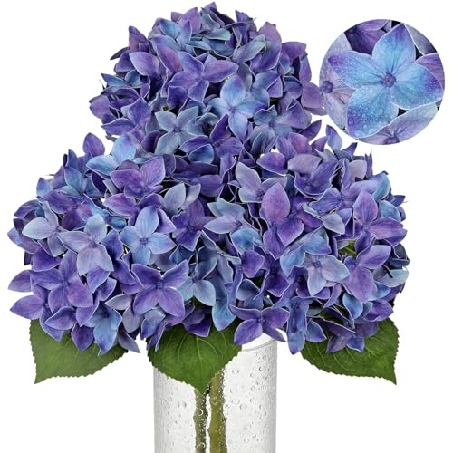 Artificial Hydrangea Flowers Real Touch Faux Hydrangeas Flower 7 Inch Large Hydrangea Heads with Unique Petal Shape, 23.6" Long Blue Hydrangeas Stems for Vase Wedding Home Table Centerpiece Decor - color: Deluge