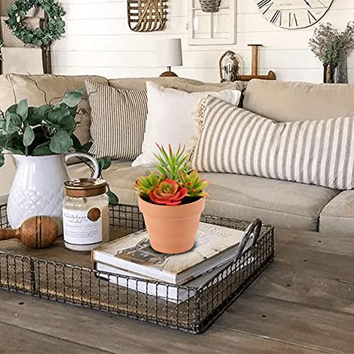 Briful Small Succulents Artificial 2 Pcs Fake Succulent Plants Faux Succulents in Pots Assorted Succulent Arrangements for Home Office Bathroom Room Shelf Rustic Farmhouse Windowsill Decor - color: Style #06
