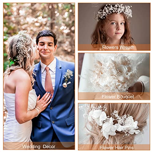 Dried Baby's Breath Flowers Bouquet - 3500+ Ivory White Dry Flowers Bulk, 17'' Real 100% Natural Gypsophila Branches for Wedding, DIY Home Party Table Vase Decor, Wreath Floral