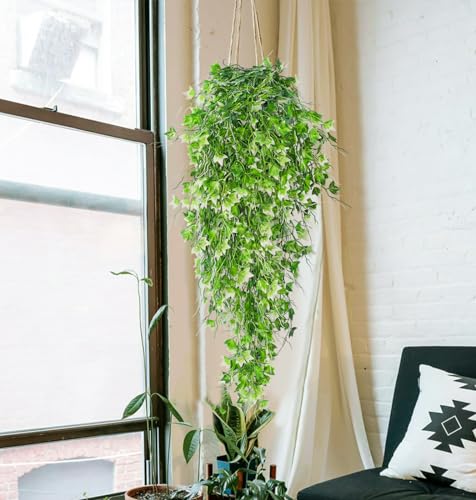 RECUTMS Artificial Hanging Plant - Faux Ivy Vine with White UV Resistant Leaves for Room, Office, Wall Decor (White) - color: White, size: Hanging Ivy
