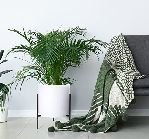 D'vine Dev Modern White Plants Pot Cylinder Planter with Heavy Duty Stand, XX-Large 16 Inch Pot, 22.8 Inch with Stand Height, 96-T-A-5 - color: White, size: XX-Large 16 Inch