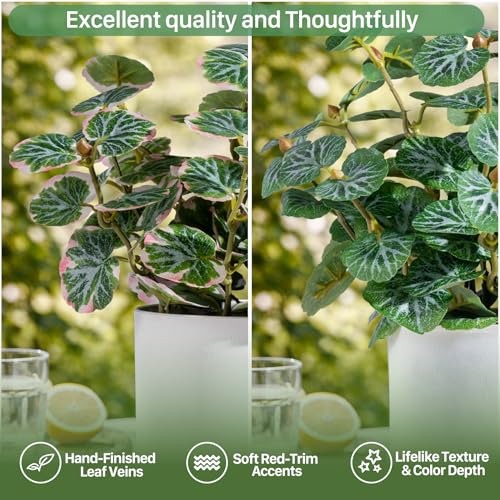 Small Artificial Plants Desk Potted Plants with Minimalist White Pot Realistic Silk Greenery Indoor Decor for Shelf Home Bathroom Farmhouse Room Coffee Table (Green-Type 3) - color: Green-type 3