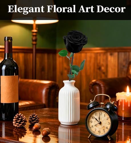 Preserved Flowers for Delivery,Black Rose Bouquets That Last 5 Years,Birthday Flowers Gifts for Women Mom Grandma Wife Friends,Mothers Day Roses Gift,Romantic Floral for Anniversary or Valentine’s Day - color: Black, size: Single Rose