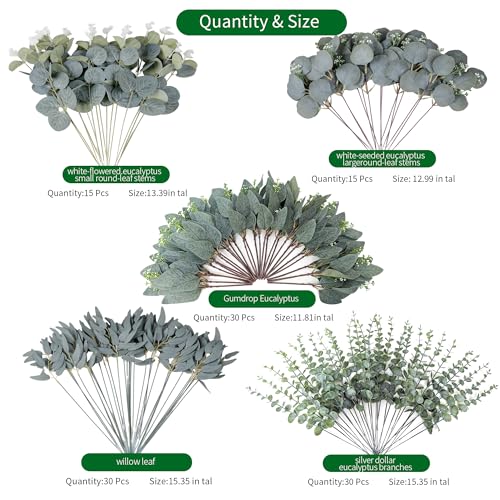 120 Pcs Mixed Eucalyptus Leaves Stems 5 Kinds Artificial Bulk Fake Silver Dollar Eucalyptus Bundle Faux Plants Greenery for DIY Wedding Vase Bouquets Floral Arrangement Engagement Decor （Green） - color: Green - 120 Artificial Green Plants (5 Styles)