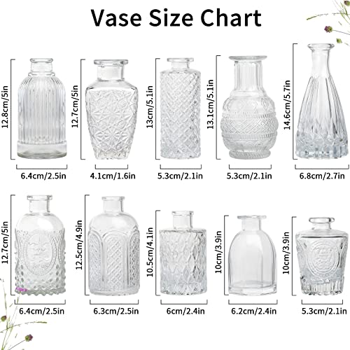Glass Vase Bud Vase in Bulk Set of 12，Small Vintage Flower Bottle Petite Glass Flower Vase for Floral Arrangements, Decorative Centerpiece,Table Decor,Home Wedding Party - color: Clear-12