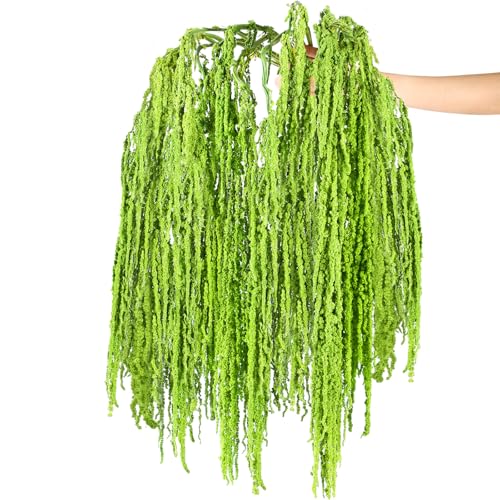 Suncalla 12 Pcs Green Spring Natural Dried Amaranthus Hanging Flowers Amaranthus Artificial Flowers for Wedding Arch Bouquet Floral Garland Wall Home Decoration (23 Inch) - color: Green