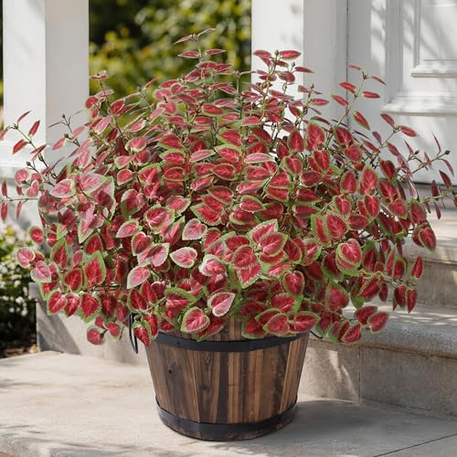 Ivydale Artificial Plants Outdoor 5 Pcs, Faux Greenery Plants Outdoor UV Resistant Silk Plants with Stems, Fake Plants for Outside Planter Front Porch Patio Pathway Decoration(Red) - color: Red