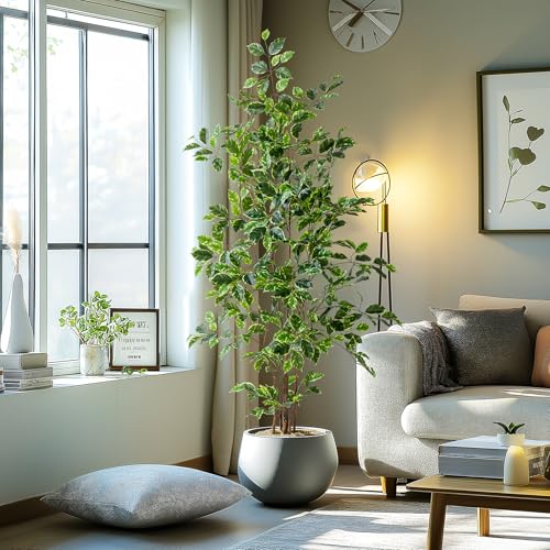 Bailikang Artificial Ficus Tree Indoor 5ft, Large Potted Faux Tree with Realistic Silk Leaves & Trunk for Home Office, Living Room Corner Decor - color: White Green, size: 5ft