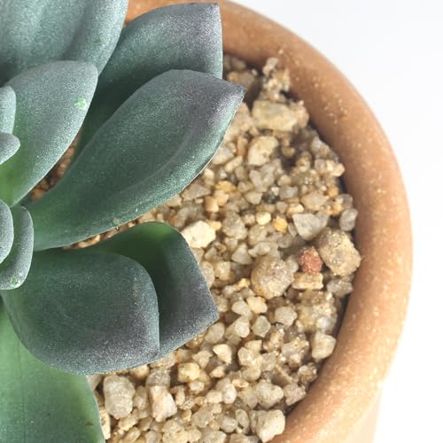 COTSEN 3 Pcs Artificial Succulent Plants Potted False Succulent Plants Potted Faux Potted Plant Family Office Bookshelf Decor