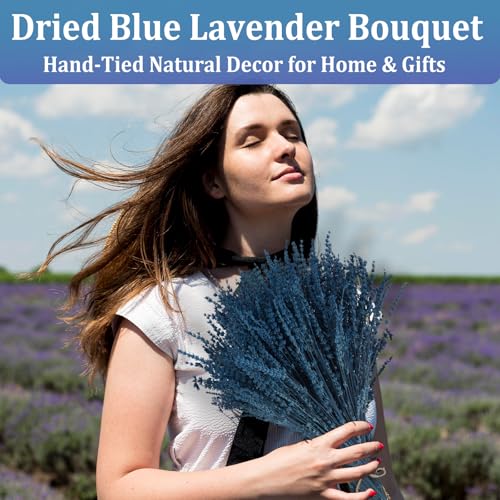 2 Bundles 350 Stems Dried Blue Lavender Flowers, 17" Dried Lavender Bundles Dried Blue Flowers, 4.23oz Preserved Lavender Stems Bouquet for Shower Wedding Home Fragrance Vase Crafts Decor - color: Blue