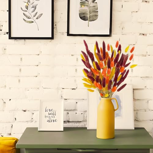Uieke 240 Pcs Bunny Tails Dried Flowers, 17'' Natural Dried Pampas Grass Decor, Yellow Burnt Orange Burgundy Reed Grass Bouquet for Boho Wedding Home Party Fall Decorations - color: Yellow Burnt Orange-240pcs