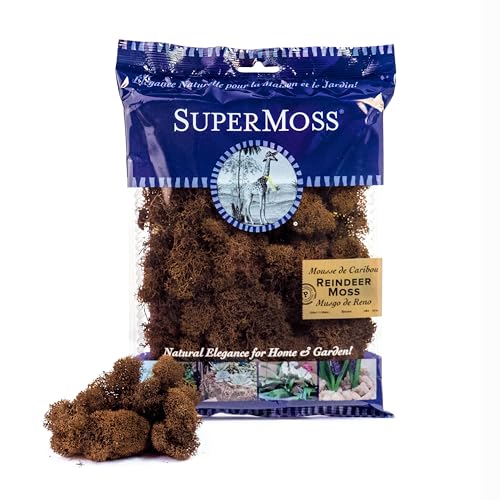 SuperMoss Super Moss (23090 Reindeer Moss Preserved, Brown, 2oz - color: Brown, size: 2 Ounce