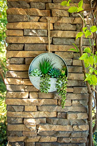 Flora Bunda Modern Artificial Succulent in 8 inch Hanging Galvanized Tin Wall Planter, Boho wall Decor, Hanging Fake Plants Cactus for Home, Office