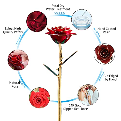 Anniversary Birthday Gifts for Women Forever Gold Dipped Rose Christmas Women Gifts 24k Gold Plated Eternal Flower Love Romantic Rose Gifts Box for Anniversary Valentines Day,Mothers Day,Birthday(red) - color: Red