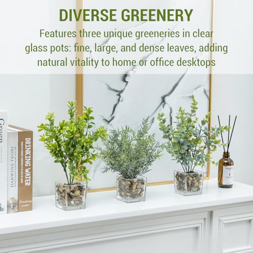 MyGift Artificial Rosemary Eucalyptus and Boxwood Plants Potted in Clear Glass Square Pots, Assorted Faux Greenery Indoor Home Table Centerpiece Office Desk Decor, 3 Piece Set - color: Green