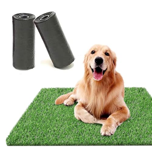 Dog Grass Pad for Dogs - size: 6 Count (Pack of 1)