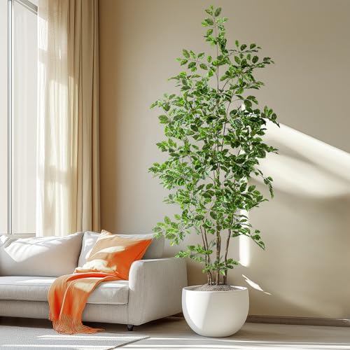 Bailikang Artificial Ficus Tree Indoor 7ft, Large Potted Faux Tree with Realistic Silk Leaves & Trunk for Home Office, Living Room Corner Decor - color: White Green, size: 7ft
