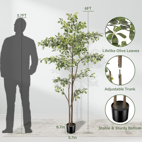 Black Olive Tree 6ft, Artificial Shady Lady Tree with Natural Trunk and Realistic Leaves, Tall Floor Plants for Living Room Decor Home Office Indoor Pack of 1 - size: 6ft